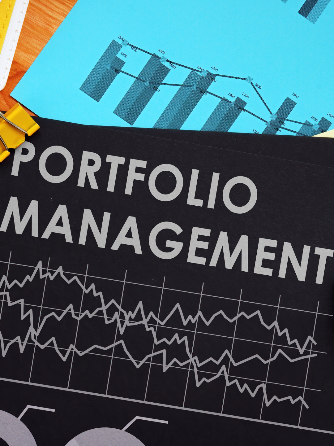10 Portfolio management services