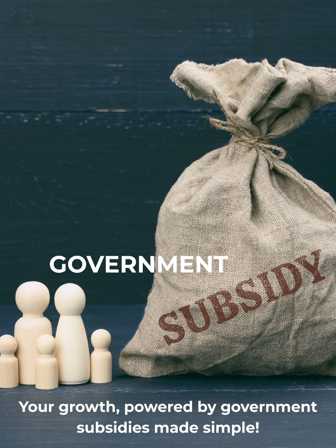 9 Government Subsidy
